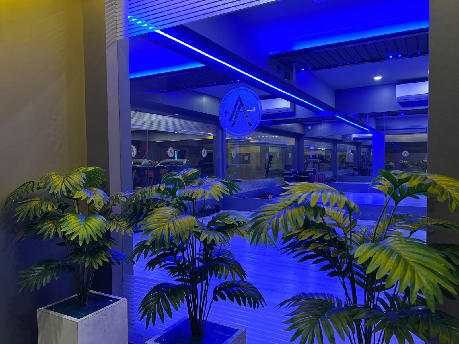 gallery
